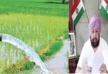 मुख्यमंत्री ने पी.एस.पी.सी.एल. को किसानों के लिए आठ घंटे बिजली आपूर्ति सुनिश्चित करने के लिए कहा मुख्यमंत्री ने पी.एस.पी.सी.एल. को किसानों के लिए आठ घंटे बिजली आपूर्ति सुनिश्चित करने के लिए कहा