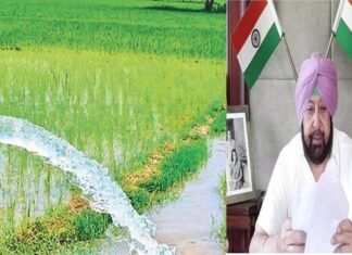मुख्यमंत्री ने पी.एस.पी.सी.एल. को किसानों के लिए आठ घंटे बिजली आपूर्ति सुनिश्चित करने के लिए कहा मुख्यमंत्री ने पी.एस.पी.सी.एल. को किसानों के लिए आठ घंटे बिजली आपूर्ति सुनिश्चित करने के लिए कहा