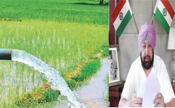 मुख्यमंत्री ने पी.एस.पी.सी.एल. को किसानों के लिए आठ घंटे बिजली आपूर्ति सुनिश्चित करने के लिए कहा मुख्यमंत्री ने पी.एस.पी.सी.एल. को किसानों के लिए आठ घंटे बिजली आपूर्ति सुनिश्चित करने के लिए कहा