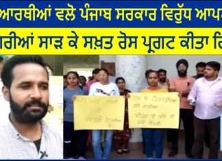 The students protested against the Punjab government by burning their degrees