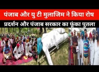 Punjab and UT employees staged a furious protest and a blown effigy of the Punjab government