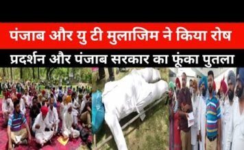 Punjab and UT employees staged a furious protest and a blown effigy of the Punjab government