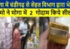 The team sent by the health department from Chandigarh in Moga sealed 2 warehouses in Moga!