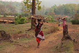 रिवायती पौधों के द्वारा वातावरण संतुलन कायम रखना यकीनी बनाने के लिए उठाया कदम