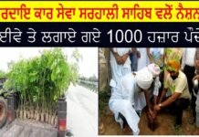 ਸੰਪਰਦਾਇ ਕਾਰ ਸੇਵਾ ਸਰਹਾਲੀ ਸਾਹਿਬ ਵਲੋਂ ਨੈਸ਼ਨਲ ਹਾਈਵੇ ਤੇ ਲਗਾਏ ਗਏ 1000 ਹਜ਼ਾਰ ਪੌਦੇ ||