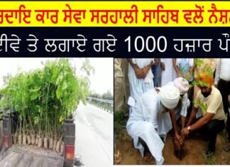ਸੰਪਰਦਾਇ ਕਾਰ ਸੇਵਾ ਸਰਹਾਲੀ ਸਾਹਿਬ ਵਲੋਂ ਨੈਸ਼ਨਲ ਹਾਈਵੇ ਤੇ ਲਗਾਏ ਗਏ 1000 ਹਜ਼ਾਰ ਪੌਦੇ ||