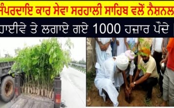 ਸੰਪਰਦਾਇ ਕਾਰ ਸੇਵਾ ਸਰਹਾਲੀ ਸਾਹਿਬ ਵਲੋਂ ਨੈਸ਼ਨਲ ਹਾਈਵੇ ਤੇ ਲਗਾਏ ਗਏ 1000 ਹਜ਼ਾਰ ਪੌਦੇ ||
