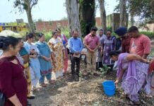 वातावरण को शुद्ध रखने के लिए पौधे लगाएं: डॉ. सतनाम सिंह