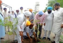 रूख लगाओ, रुख बचाओ, धीयां पुतां लई वातावरण सजाओ- औजला