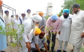 रूख लगाओ, रुख बचाओ, धीयां पुतां लई वातावरण सजाओ- औजला