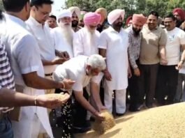 मंत्री लाल चंद कटारूचक्क का अमृतसर मंडी दौरा, गेहूं खरीद प्रबंधों की समीक्षा