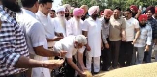 मंत्री लाल चंद कटारूचक्क का अमृतसर मंडी दौरा, गेहूं खरीद प्रबंधों की समीक्षा