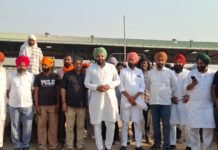 पंजाब में गेहूं खरीद घोटाला? सांसद गुरजीत सिंह औजला का बड़ा आरोप, मंडियों में भ्रष्टाचार की “चेन” सक्रिय